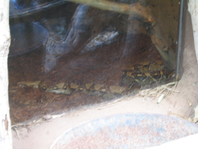 618x457 pixels (145K)